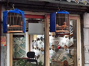 2024 11 PEKIN - LE VIEUX PEKIN  (17)